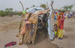 48479645991_a068fd5631_c 48479645991_a068fd5631_c