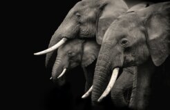 bisakha-datta--6SmukZ_w6s-unsplash