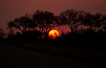 deborah-varrie-dmNYcD5Mgbc-unsplash deborah-varrie-dmNYcD5Mgbc-unsplash