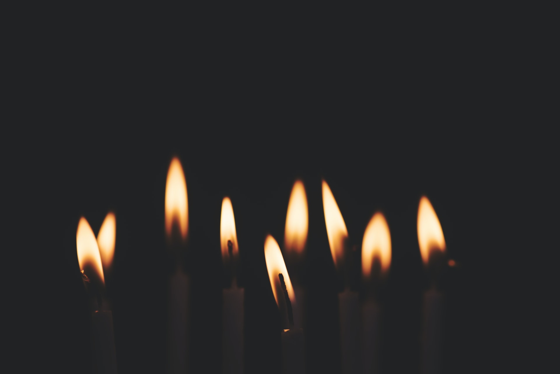 gaelle-marcel-wkn_KHBExcE-unsplash