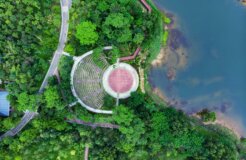 jon-geng-MJcwA4oLBLw-unsplash