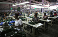 22140346736_2e165fa00b_o