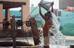 43066100090_8f630ef2ab_c