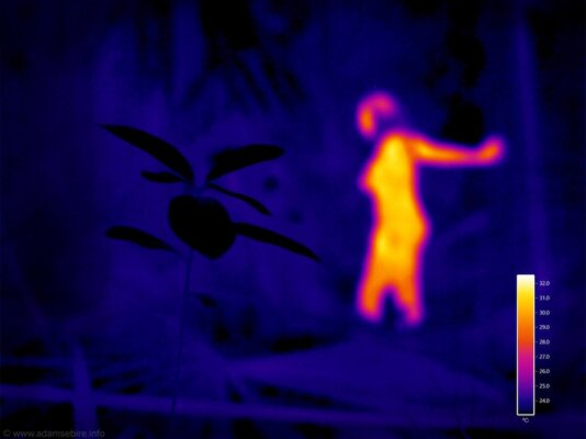 Adam+Sebire+IR001631