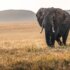 david-clode-nyvR6wbU1ho-unsplash