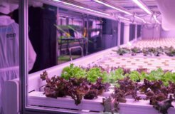 Medium_Screen-Hydroponic farming Fotografiska(1)