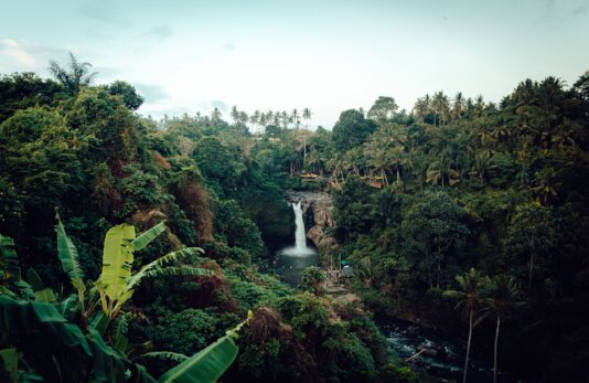 nate-johnston-BW9bM5UoLk4-unsplash