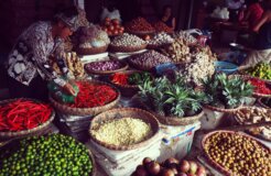 patrick-mcgregor-wyxkEfk16-Y-unsplash patrick-mcgregor-wyxkEfk16-Y-unsplash