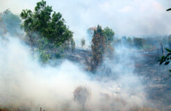 35865641301_dfdcc9cdeb_k 35865641301_dfdcc9cdeb_k