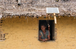 50754938186_0138cf5a0e_c 50754938186_0138cf5a0e_c