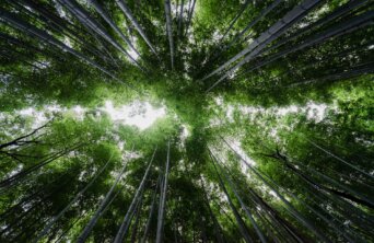 bady-abbas-KkqvVpfIzrU-unsplash