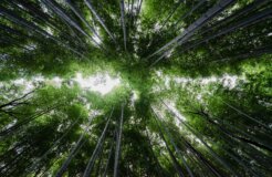 bady-abbas-KkqvVpfIzrU-unsplash bady-abbas-KkqvVpfIzrU-unsplash