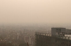 Delhi_air_pollution_2019 Delhi_air_pollution_2019