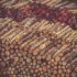 mildly-useful-TeeK3XdZd54-unsplash