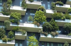 tree-architecture-mansion-house-window-building-55193-pxhere.com