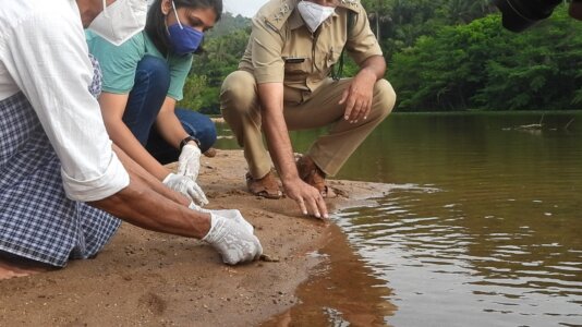 Working on the river bed