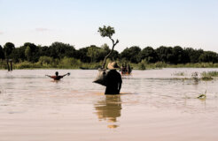 25266683322_fbf8097541_o 25266683322_fbf8097541_o