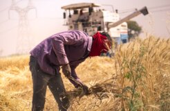 anurag-gautam-wE3JiWG54G0-unsplash anurag-gautam-wE3JiWG54G0-unsplash