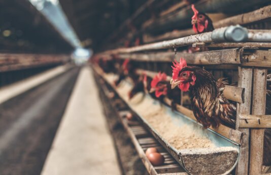 artem-beliaikin-Mpm69Pad_-8-unsplash