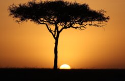 henrik-hansen-U4KIUpJFmcg-unsplash henrik-hansen-U4KIUpJFmcg-unsplash