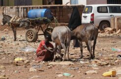 ismail-salad-osman-hajji-dirir-IbmLlqMCD-c-unsplash