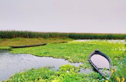 jubin-deka-2-x4MPMEy6U-unsplash