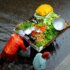 milind-ruparel-c21cWbBBFRI-unsplash