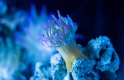 uriel-soberanes-LumQCasvDlw-unsplash