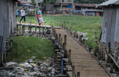 29688860693_423ea33734_k 29688860693_423ea33734_k