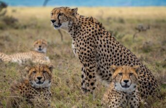 ahmed-galal--kYQ7uNKH9w-unsplash