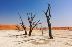 bernd-dittrich-0HkLP6xG2Lw-unsplash