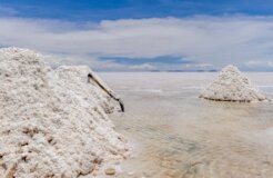 alexander-schimmeck-cFPTHl6s5uY-unsplash