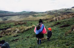 azzedine-rouichi-F3BBLFml5Hw-unsplash