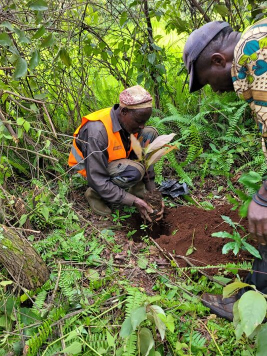 Community members plant trees to restore degraded land