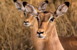 david-tomaseti-ndJTjBw_dQQ-unsplash david-tomaseti-ndJTjBw_dQQ-unsplash