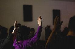 ismael-paramo-G6ftuYoWnpU-unsplash ismael-paramo-G6ftuYoWnpU-unsplash