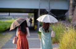 jason-rost-Dsjgt4lV8hk-unsplash