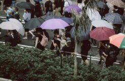 joseph-chan-UU-FIwRlBK4-unsplash joseph-chan-UU-FIwRlBK4-unsplash