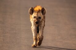 marcus-lofvenberg-EPBgjePWSEo-unsplash marcus-lofvenberg-EPBgjePWSEo-unsplash