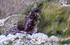 matt-howard-LYZJXCyKCa0-unsplash matt-howard-LYZJXCyKCa0-unsplash