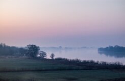 nina-grebowska-Jvcu3zUX3cM-unsplash