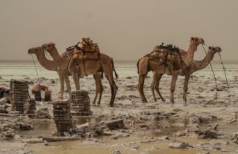 lesly-derksen-v1pcGRXSmW8-unsplash lesly-derksen-v1pcGRXSmW8-unsplash