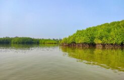 vishwasa-navada-k-EK9u6IyUldw-unsplash vishwasa-navada-k-EK9u6IyUldw-unsplash