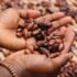 etty-fidele-oJpkjWcScyg-unsplash