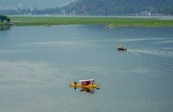 imad-clicks-bziaWBJrd3E-unsplash imad-clicks-bziaWBJrd3E-unsplash