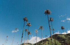 julian-uZuTLONOmPk-unsplash