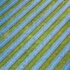 markus-spiske-d7FbDJkJSFw-unsplash