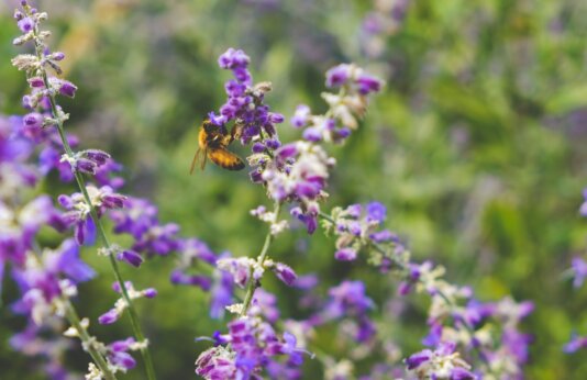 scotty-turner-dVLq8y3NgY4-unsplash