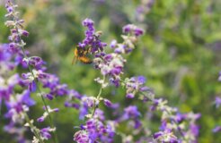 scotty-turner-dVLq8y3NgY4-unsplash scotty-turner-dVLq8y3NgY4-unsplash