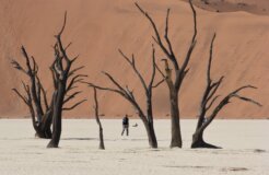 vicky-sim-b0GHajFNE4g-unsplash vicky-sim-b0GHajFNE4g-unsplash